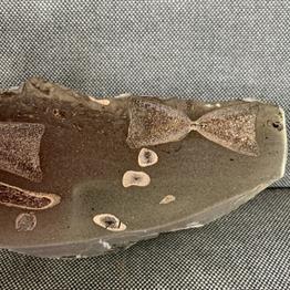 Ichthyosaur Sp 9 Vertebrae / Bone Cut & Polished Fossil, Whitby Stone Treasures Fossils4sale