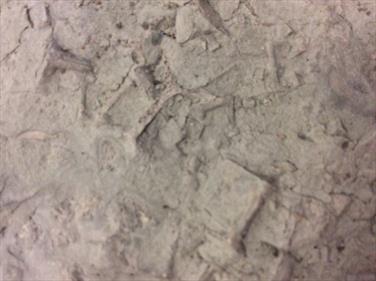 Salt pseudomorphs slab 21cm x15cm 660gms Stone Treasures Fossils4sale