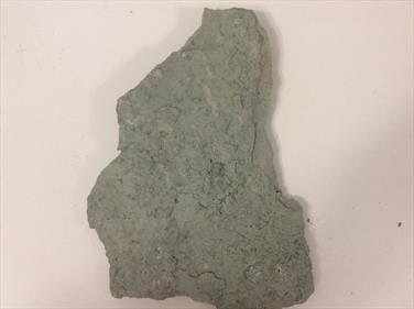 Salt pseudomorphs slab Newark Notts 21cm x15cm 660gms Stone Treasures Fossils4sale