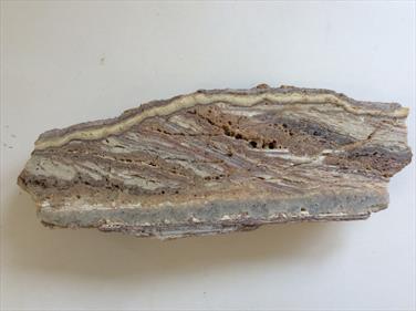 Bacon Opal cut and polished slice (volcanic rock layer) 22.5cm x 8cm x 4cm 1.125 kg Fossils4sale Stone Treasures