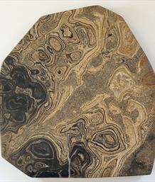 Stromatolite 5 Cut & Polished Specimen 19.5cm x 17cm 1,056Kg approx Stone Treasures Fossil4sale