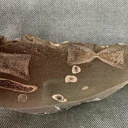Ichthyosaur Sp 9 Vertebrae / Bone Cut & Polished Fossil, Whitby Stone Treasures Fossils4sale