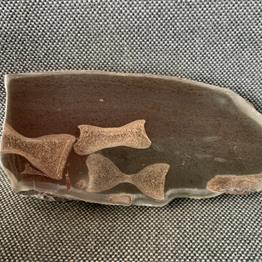 Ichthyosaur Sp (6) Vertebrae / Bone Cut & Polished Fossil, Whitby Stone Treasures Fossils4sale