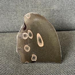 Ichthyosaur Sp Vertebrae / Bone Cut & Polished Fossil, Whitby Stone Treasures Fossils4sale