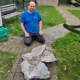 New Ichthyosaur species found by Stone treasures.