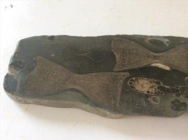 Ichthyosaurus Bone & Ammonite Polished Display Specimen Whitby UK 19.5cm x 5.5cm 382gms approx Fossils4sale Stone Treasures