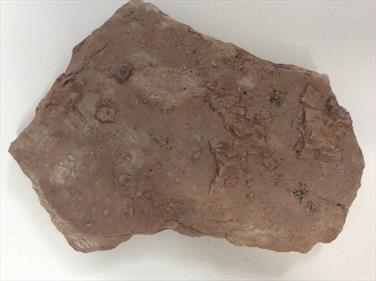 Salt pseudomorphs slab 18cm x12cm 780gms Stone Treasures Fossils4sale