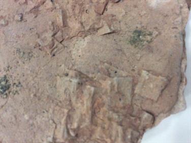 Salt pseudomorphs slab 18cm x12cm 780gms Stone Treasures Fossils4sale