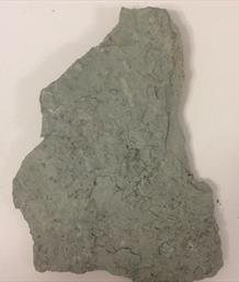 Salt pseudomorphs slab Newark Notts 21cm x15cm 660gms Stone Treasures Fossils4sale