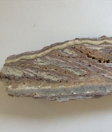 Bacon Opal cut and polished slice (volcanic rock layer) 22.5cm x 8cm x 4cm 1.125 kg Fossils4sale Stone Treasures