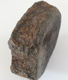 Ichthyosaurus Vertebra fossil Peterborough Diameter 8.5cm approx sourced by Stone treasure fossils4sale