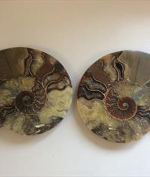 Ammonite Pair Large Cut & Polished Madagascar Diameter 17cm 1.11Kg Stone Treasures Fossils4sale