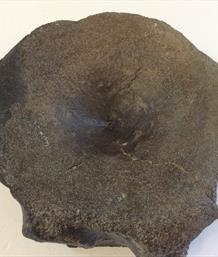 Vertebra Ichthyosaur 7cm x 3cm 269 gms Orton Quarry Peterborough Stone Treasures Fossil4sale