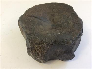 Vertebra Ichthyosaur 7cm x 3cm 269 gms Orton Quarry Peterborough Stone Treasures Fossil4sale