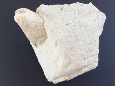 Sponge White Chalk Fossil Dane's Dyke 5 Flamborough, Humberside Cretaceous.9cm x 5cm x 6cm 495gms Stone Treasures Fossils4sale