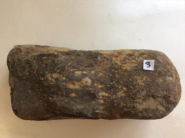 Plesiosaur Humerus Bone 3 specimen 17cm long 1.48kg UK Stone Treasures Fossils4sale