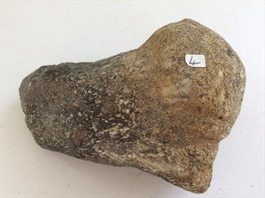 Plesiosaur Humerus Bone 4 specimen 11cm long 532g UK Stone Treasures Fossils4sale