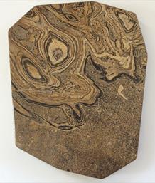 Stromatolite 4 Cut & Polished Specimen 17.5cm x 13.5cm 709gms approx Stone Treasures Fossil4sale