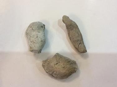 Coprolite small specimens vary in size 4cm x 2 cm Stone Treasures